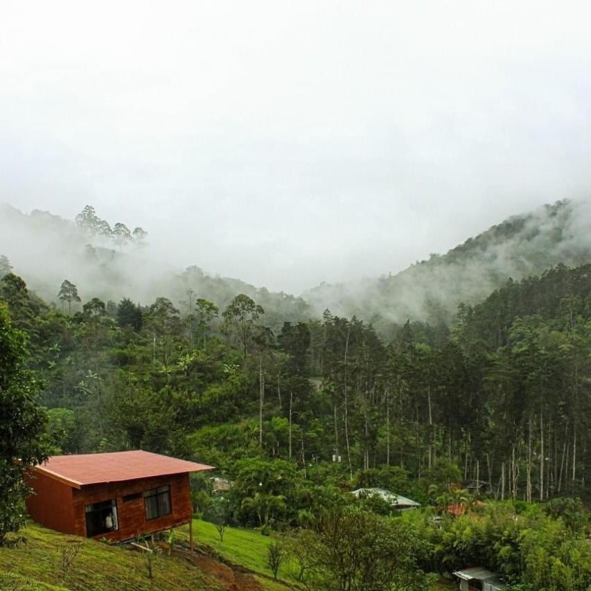 Navarro Mountain Cartago Buitenkant foto