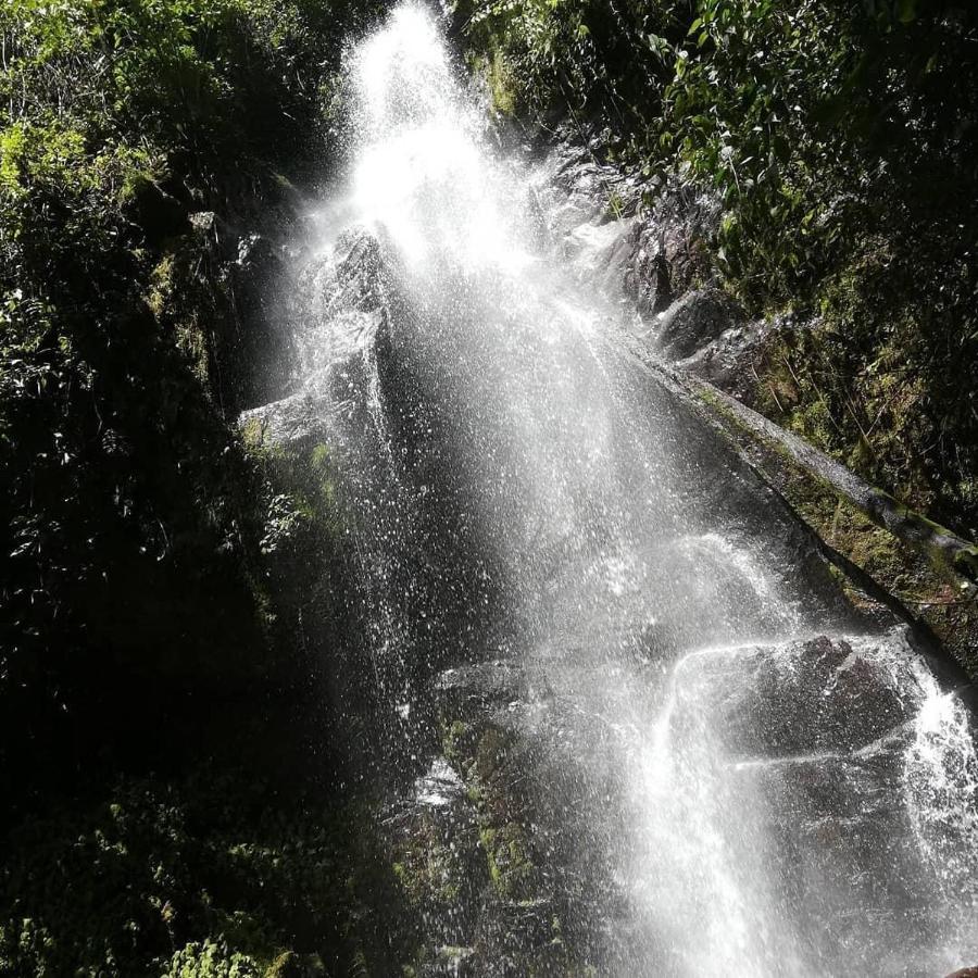 Navarro Mountain Cartago Buitenkant foto